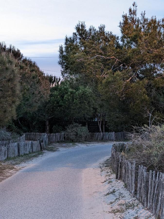 L'Instant Plage - Vue Mer - Bord De Plage - La Capte - Cote D'Azur Hyères Kültér fotó