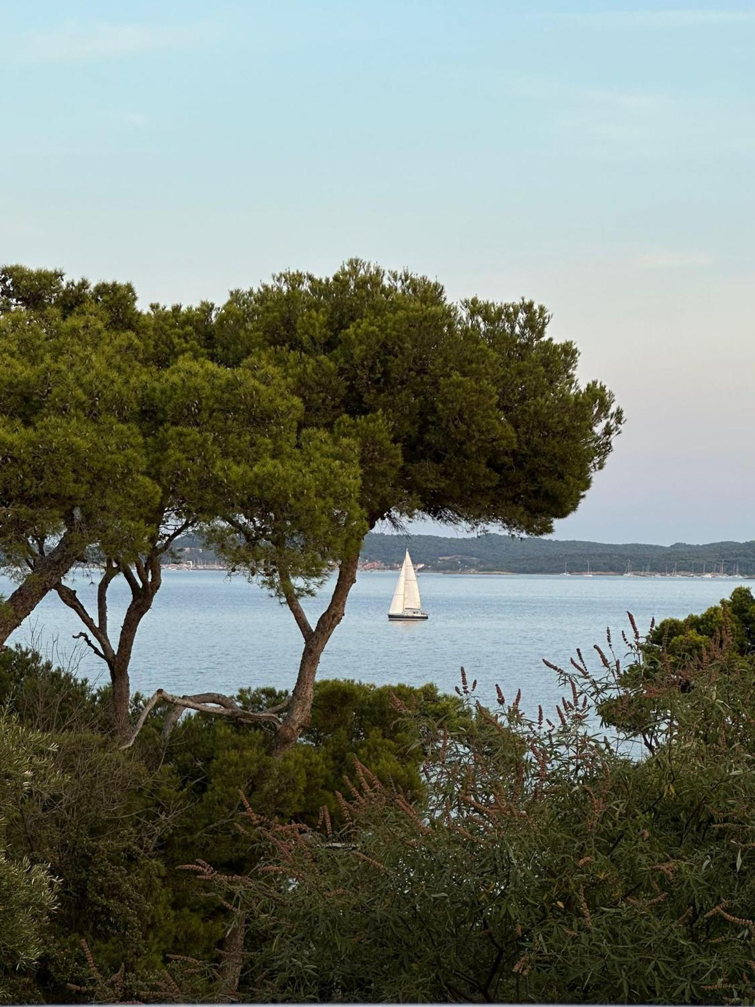L'Instant Plage - Vue Mer - Bord De Plage - La Capte - Cote D'Azur Hyères Kültér fotó