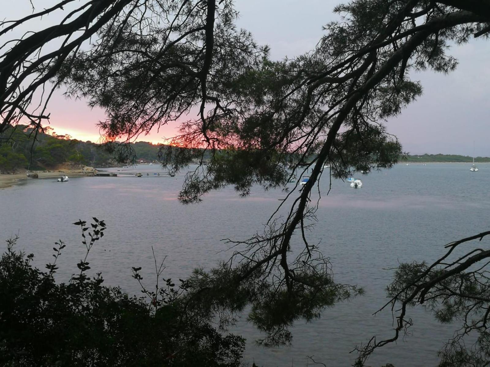L'Instant Plage - Vue Mer - Bord De Plage - La Capte - Cote D'Azur Hyères Kültér fotó